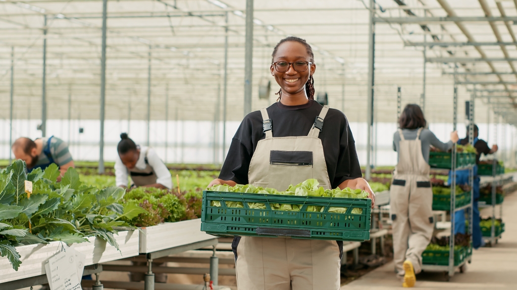 CASANOVA à Bézier : Producteur de plants potagers et aromatiques pour les commerçants